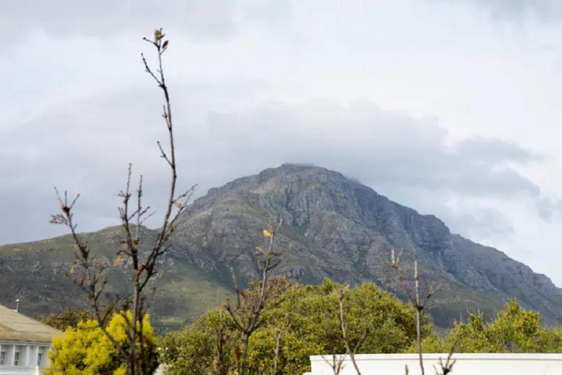 Church Street Luxury Apartments Stellenbosch Bagian luar foto